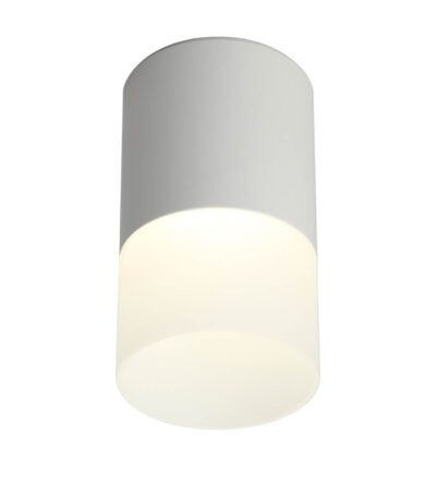 Потолочный светодиодный светильник Omnilux Ercolano OML-100009-05