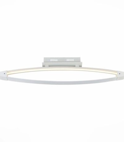 Потолочный светодиодный светильник ST Luce SL920.102.01