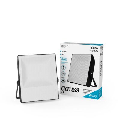Прожектор светодиодный Gauss Evo 100W 6500К 687511100