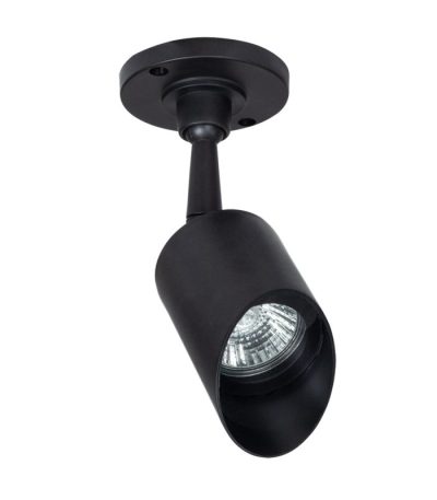 Прожектор уличный Arte Lamp Elsie A1022AL-1BK