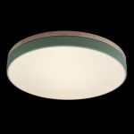 Потолочный светильник Loft IT AXEL 10001/36 Green