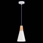 Подвесной светильник Evoluce Modica SLE125153-01