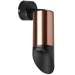 Встраиваемый спот Lightstar Rullo RB43037 (214430+590007+201437)