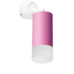 Встраиваемый спот Lightstar Rullo RB43231 (214432+590006+202431)