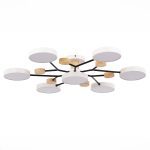 Люстра на штанге Evoluce Faema SLE6006-502-07