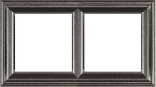 Рамка двухместная Jung EPD482AN