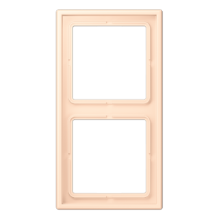 Рамка двухместная Jung LC982238