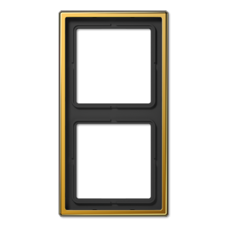 Рамка двухместная Jung LS982GGO