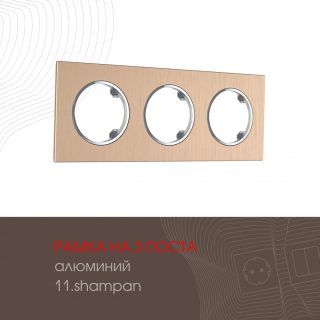 Рамка трехместная Arte Milano 502.11-3.shampan