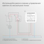 Реле Умный дом с независимым контактом Elektrostandard 76010/00 4690389206740 a067444
