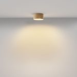 Накладной светильник Maytoni Zon C032CL-12W2.7K-RD-MG