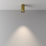 Накладной светильник Maytoni Focus Led C056CL-L12W4K-W-BS