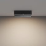 Настенно-потолочный светильник Maytoni Basis Rot C133CL-12W3K-B