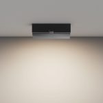 Потолочный светильник Maytoni Basis Rot C133CL-12W4K-B