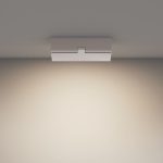 Настенно-потолочный светильник Maytoni Basis Rot C133CL-12W4K-W