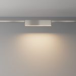 Трековый магнитный светильник Maytoni Basis TR151-1-12W3K-PT