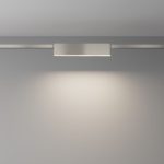 Трековый магнитный светильник Maytoni Basis TR151-1-12W4K-PT