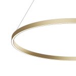 Подвесной светильник Maytoni Rim MOD058PL-L54BSK