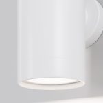 Уличный настенный светильник Maytoni Clyde O493WL-01W