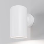 Уличный настенный светильник Maytoni Clyde O493WL-01W