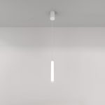 Подвесной светодиодный светильник Maytoni Technical Ray P022PL-L10W