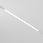 Трековый магнитный светильник Maytoni Basis TR030-2-24W3K-W