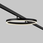 Трековый магнитный светильник Maytoni Rim TR227-2-24W3K-B
