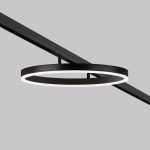 Трековый магнитный светильник Maytoni Rim TR227-2-24W4K-B