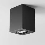 Потолочный светильник Maytoni Alfa C017CL-01B