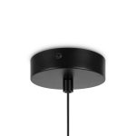 Подвесной светильник Maytoni Basic form MOD321PL-01B1