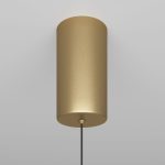 Подвесной светодиодный светильник Maytoni Technical Ray P022PL-L20G3K