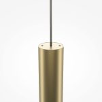 Подвесной светильник Maytoni Pro Shade MOD157PL-L6GK