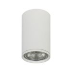 Потолочный светильник 20001 20001SMU/01 SWH