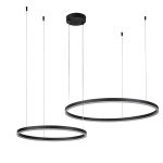 Подвесная люстра Indigo Galass 14001/2P Black V000030L