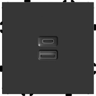 Розетка 2-местная USB + Type C Stekker RST10-5115-05 Эмили 49853