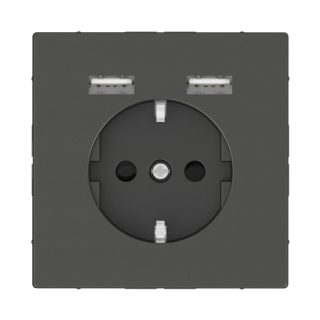 Розетка компьютерная USBx2 Schneider Electric Merten D-Life MTN2366-6034