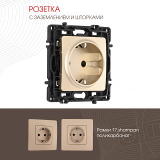 Розетка с заземлением и шторками Arte Milano 217.40-1.shampan