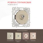 Розетка спутниковая SAT TV Arte Milano 202.42-1.shampan