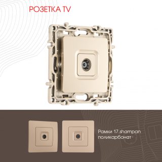 Розетка TV Arte Milano 217.43-1.shampan