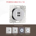 Розетка USB 2.1А+1А Arte Milano 202.46-1.silver