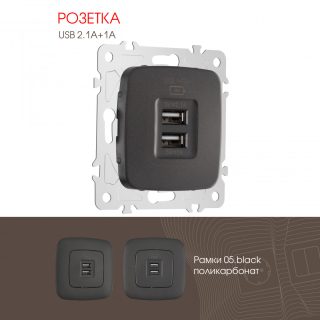 Розетка USB 2.1А+1А Arte Milano 205.46-1.black
