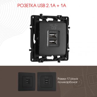 Розетка USB 2.1А+1А Arte Milano 217.46-1.black