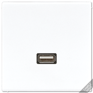 Розетка USB Jung MALS1122