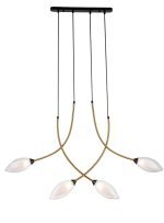 Подвесная люстра Indigo Fiore 13001/4P Black V000141