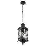 Уличный подвесной светильник Loft IT Ferrara 100020P