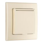 Комплект розетки с/з и шторками, защитной крышкой и рамкой Arte Milano SET06-1-41-1 shampan