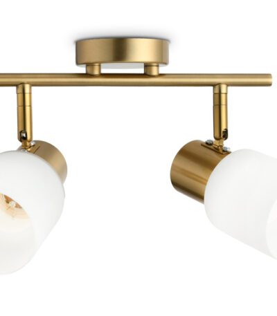 Спот Ambrella Light Traditional TR3969