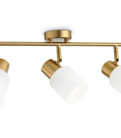 Спот Ambrella Light Traditional TR3972