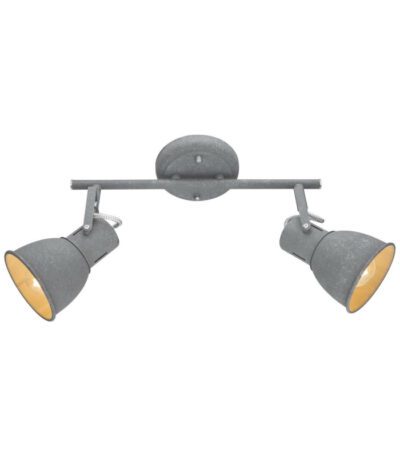 Спот Arte Lamp A1677PL-2GY