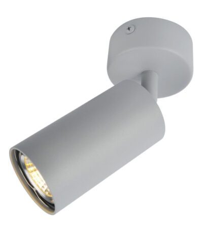 Спот Arte Lamp A3216PL-1GY